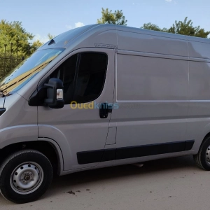 Fiat Ducato 2023 | Laghouat - Algérie | Dir L’affaire