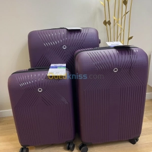 Valises Delsey | Alger - Algérie | Dir L’affaire