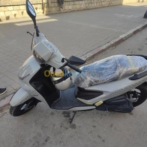 Vms Coral 2023 | Constantine - Algérie | Dir L’affaire