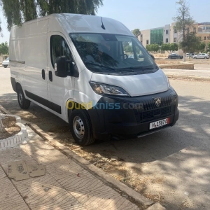 Peugeot Boxer 2025 | Chlef - Algérie | Dir L’affaire